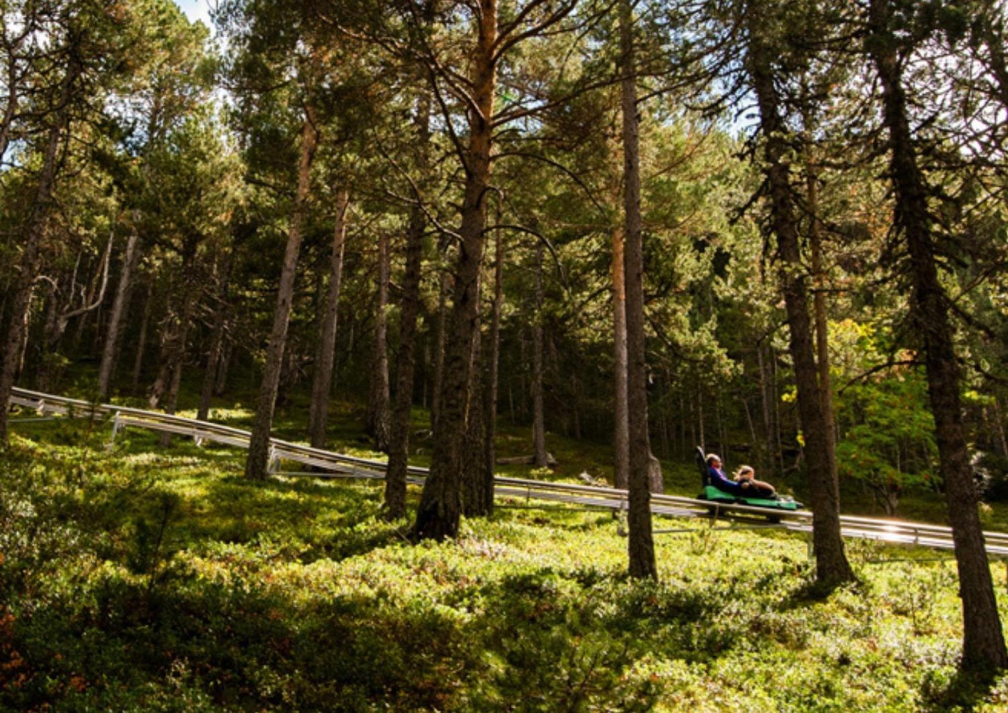 Apartamento Font Blanca En Arinsal Mas de Ribafeta Eksteriør billede